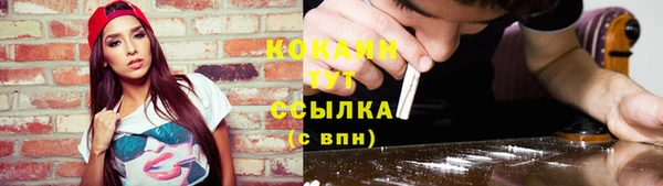 каннабис Беломорск