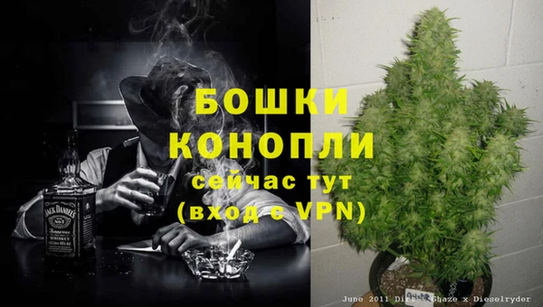 каннабис Беломорск