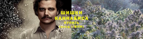 каннабис Белокуриха