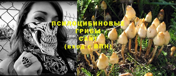 каннабис Белокуриха